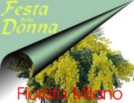 Fiori Festa della donna mimose
