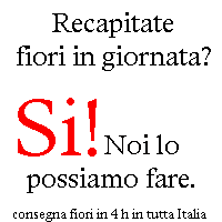 consegna fiorista milano